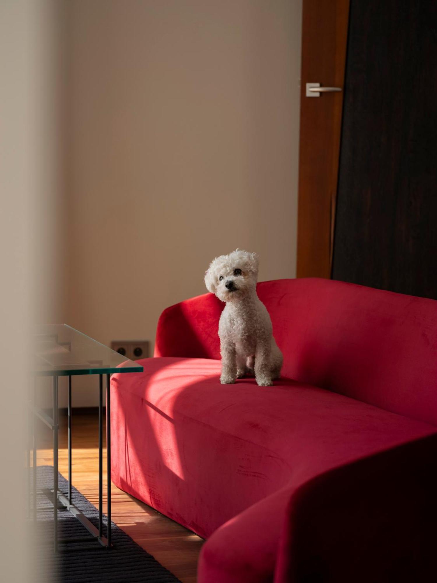 Hotel Monopol Wroclaw Bagian luar foto A Bolognese